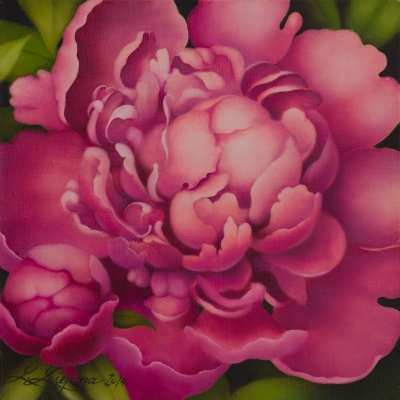 &quot;Pink peony&quot;, oil on canvas, 20x20 cm